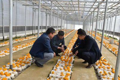 政府圍著企業(yè)轉 永勝各部門當好“服務員”_頭圖