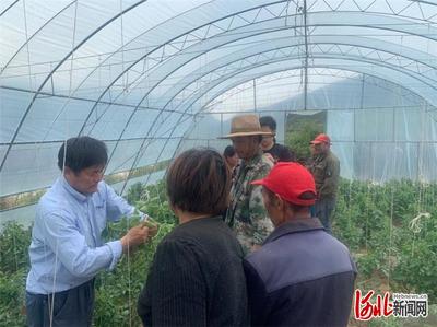 河北張家口市下花園區(qū)科技扶貧培訓先行