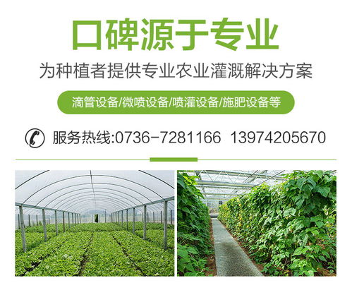 果樹施肥設(shè)備公司 吉鑫農(nóng)業(yè)科技 在線咨詢 岳陽(yáng)果樹施肥設(shè)備