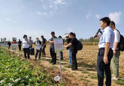 2022年第六屆北京市優(yōu)質(zhì)甘薯推介會(huì)在密云舉行