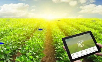 智慧農業是做什么的呢 智慧農業靠什么賺錢
