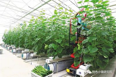 【新業態】休閑農業、互聯網+農業、智慧農業…