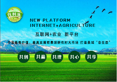 “互聯(lián)網(wǎng)+”優(yōu)秀案例:“在村頭”益農(nóng)信息社電商平臺(tái)