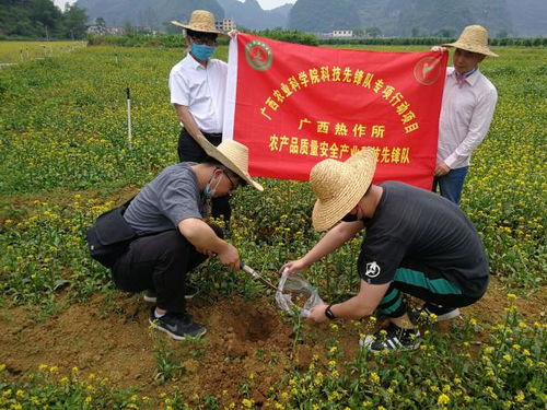 廣西熱作所農產品質量安全產業科技先鋒隊到馬山縣開展科技服務