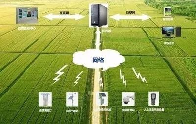 未來農(nóng)業(yè)科技暢想曲:植物工廠、智慧農(nóng)業(yè)、功能食品