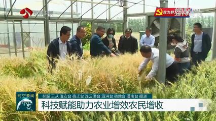 【我為群眾辦實(shí)事】問題不出田 江蘇積極開展農(nóng)業(yè)科技服務(wù)活動(dòng)