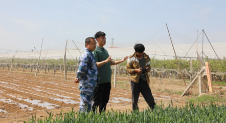 青島麗斌農(nóng)業(yè)綜合農(nóng)事服務(wù)中心 打通為農(nóng)服務(wù)“最后一公里”