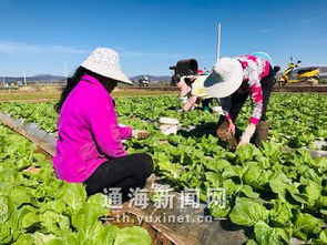 創(chuàng)新工作服務(wù)模式 打造綠色食品基地
